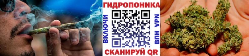 Шишки марихуана гибрид Александров